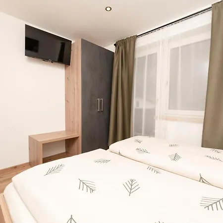 Apartment Bergnest Oetztal - *