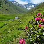 Bergnest Oetztal - Apartmán *