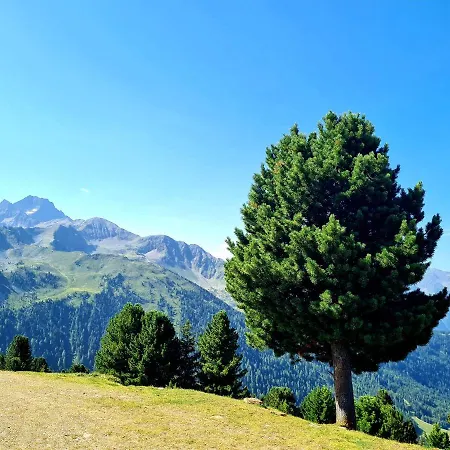 Apartament Bergnest Oetztal -